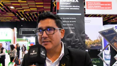 Principios técnicos de la vacunación in ovo