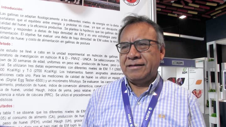 Calidad de Huevo y dietas de baja densidad energética en postura