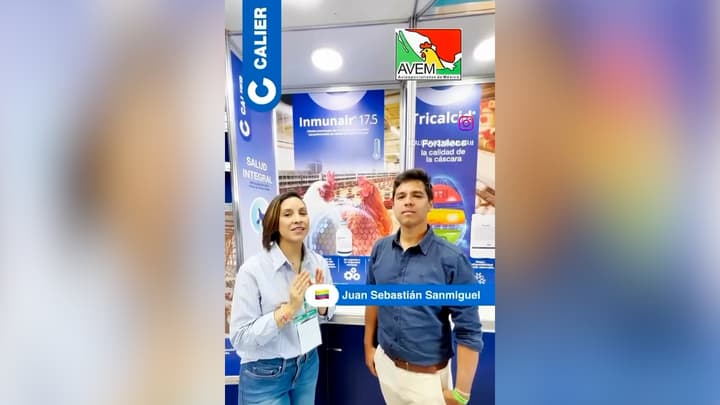 Testimonio: Incidencia de Micoplasma en levante