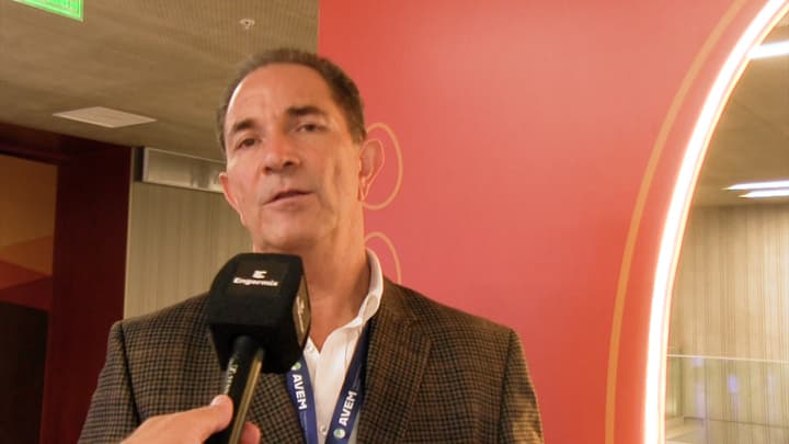 Nutrición en gallinas ponedoras