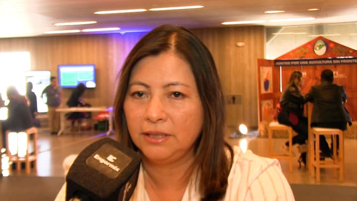 Eje hepático-inmunológico: Impacto del estrés oxidativo en animales de granja