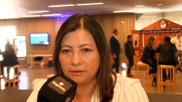 Nuevas estrategias nutricionales para la protección hepática en producción intensiva