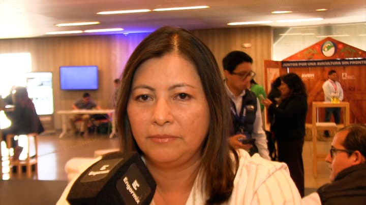 El papel del hígado en la desintoxicación y su vulnerabilidad al estrés oxidativo