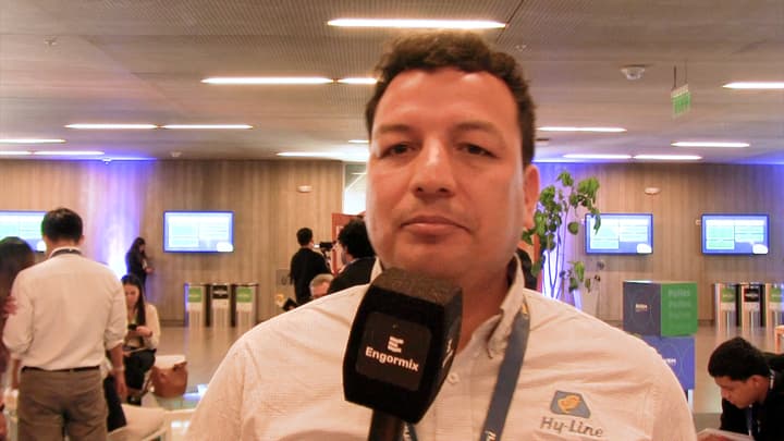 Consumo de huevo en Perú: soporte de casa genética