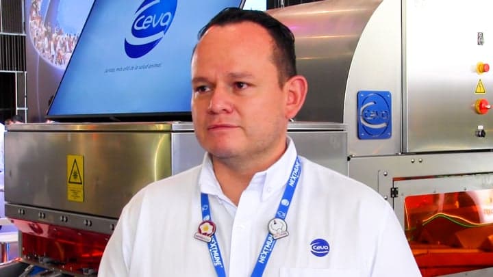 Incubación: Automatización, nuevas tecnologías y vacunación 