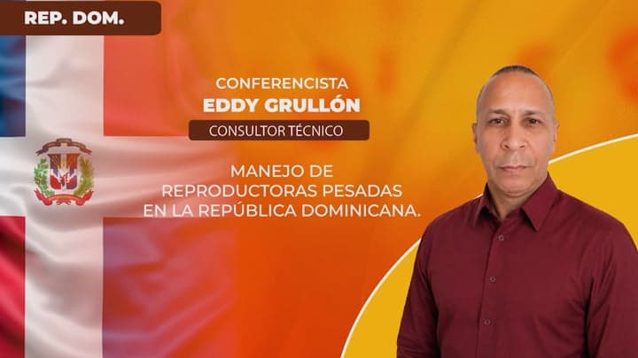 Reproductoras Pesadas, Realidades en República Dominicana