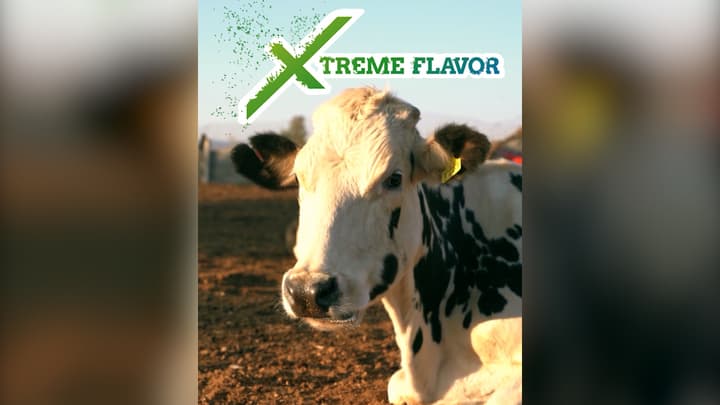 Palatabilizantes diseñados para estimular el consumo