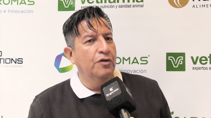 Gestión de costos en plantas de alimentos balanceados