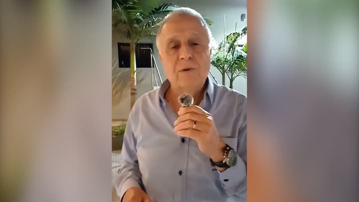 Probióticos: una herramienta clave para una producción más segura y sin antimicrobianos