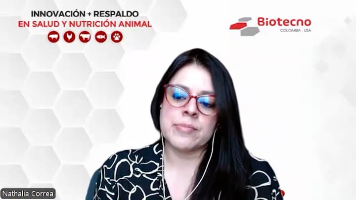 One Health: Antibióticos con lupa