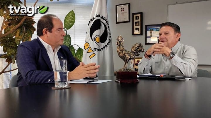 ¿Por qué asistir al Congreso Latinoamericano OVUM 2026?
