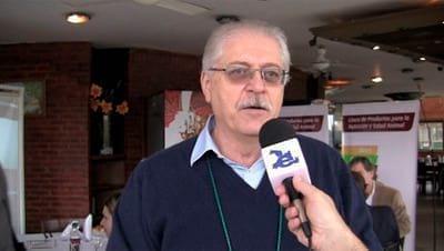 Alimentación de pollitos Post-Eclosión