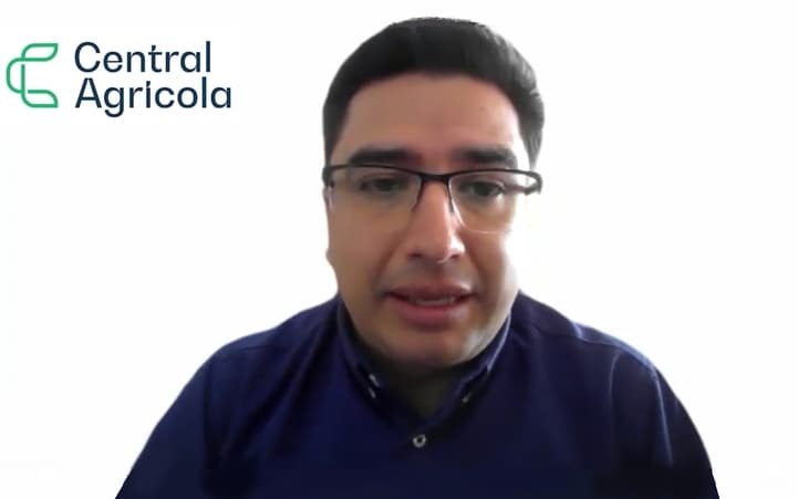 Impacto de los aditivos naturales en monogástricos