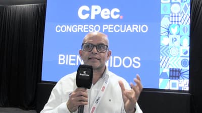 Salud respiratoria de granjas porcinas en Centroamérica