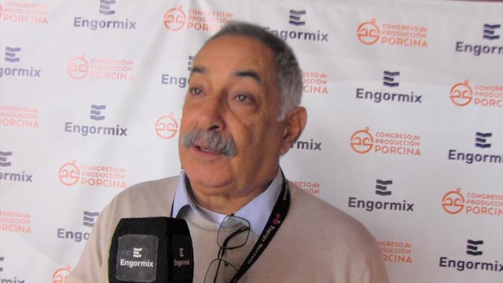 Micotoxinas en la produccion porcina