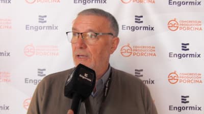 Sector porcino argentino: Crecimiento exponencial
