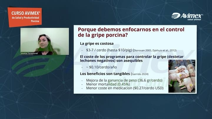 Diversidad genética de la influenza porcina: Cómo evoluciona el virus dentro de la granja