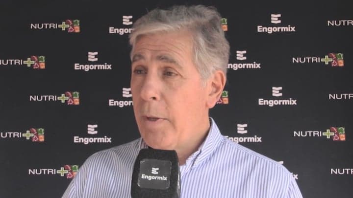 Eficiencia y nutrición en gallinas de postura, Daniel Sarda