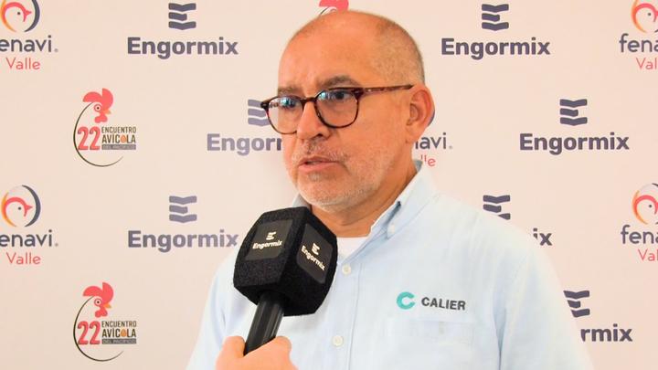 Hígado: El alma de la productividad en la industria avícola