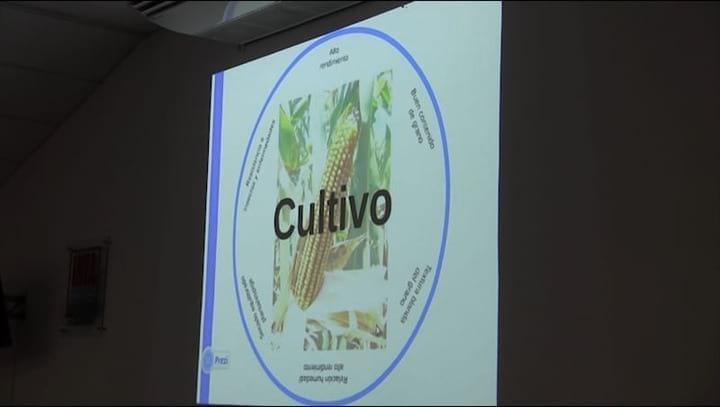 Calidad de Silo de Maíz. Ing. Agr. juan Monge