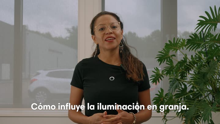 Influencia de la iluminación en la producción de huevos