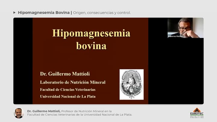 Hipomagnesemia Bovina: Cuadro clínico