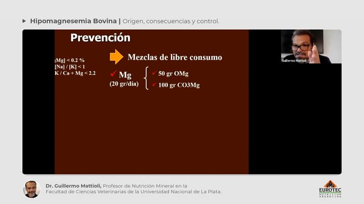 Hipomagnesemia Bovina: Prevención