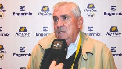 Desafíos en el mercado de huevo chileno, Rafael Covarrubias