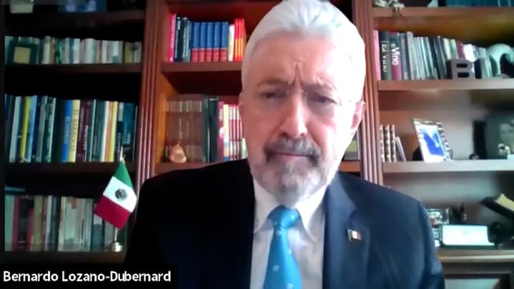 Influenza Aviar H5N1: riesgo sanitario, vacunación y estrategias globales de control