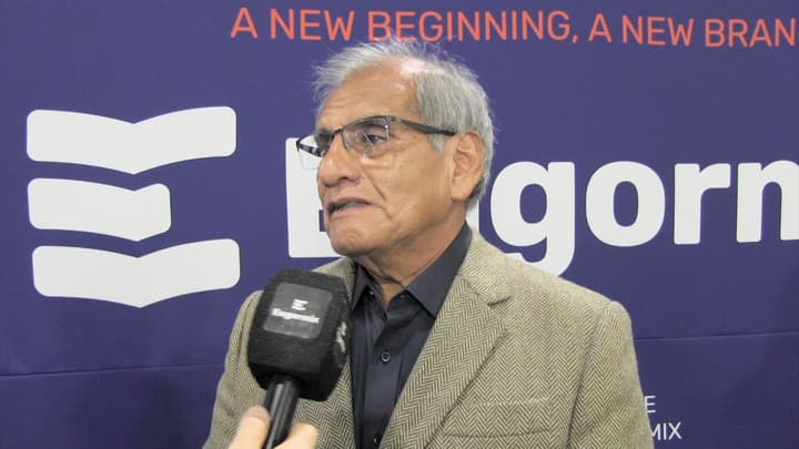 Estrés oxidativo y salud hepática en aves y cerdos: impacto fisiopatológico y estrategias antioxidantes