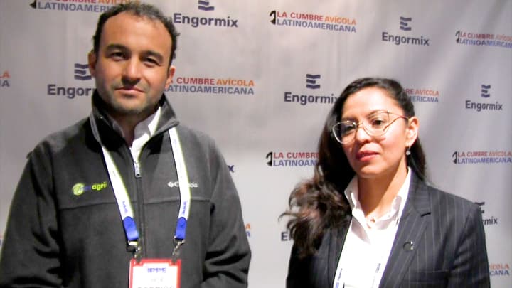 Iluminación en la producción animal 