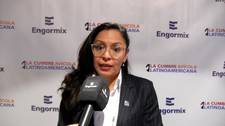 Avicultura: Iluminación en el clima de la granja