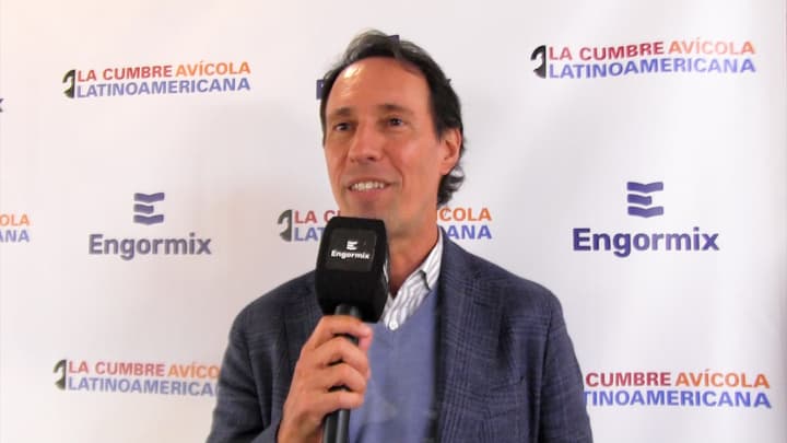 Empresas productoras de huevo, su futuro y dirección