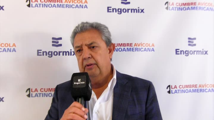 Empresas productoras de huevo, Mirada de CEO