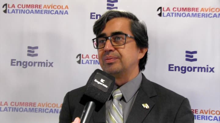 Inteligencia artificial y tecnologías inteligentes en la ndustria avícola