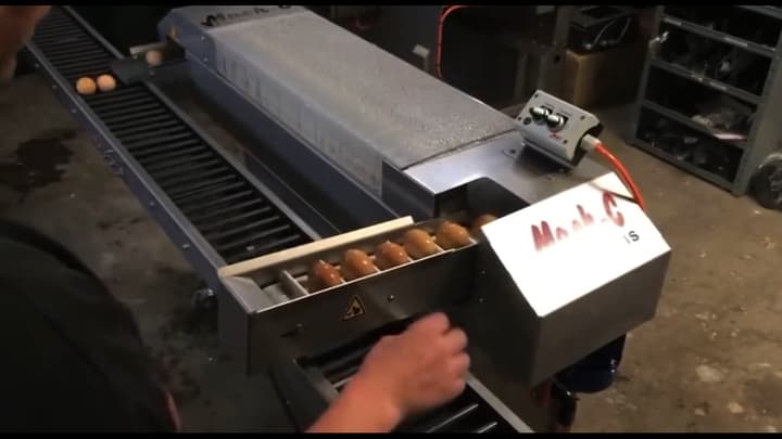 Equipo para lavado de huevo