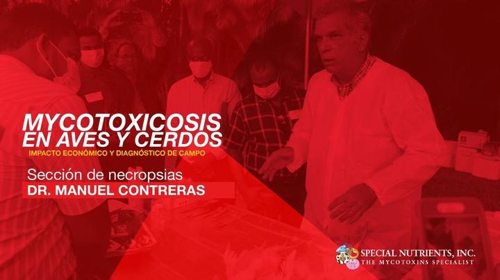 Necropsia en pollos, Dr. Manuel Contreras 