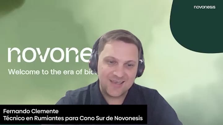 Altura de corte del maíz: ¿Conviene subirla al momento de la cosecha?
