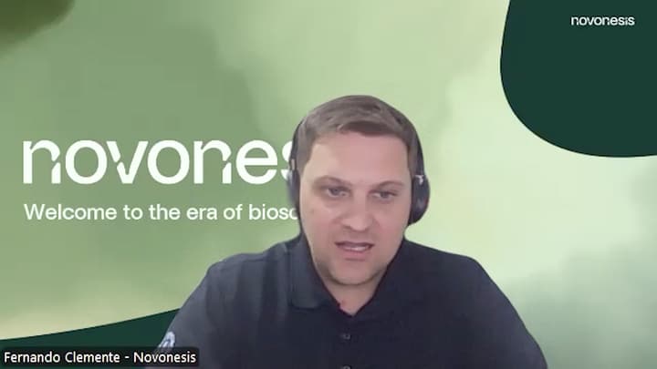 Conservación del ensilaje de maíz para transformarlo en carne o leche