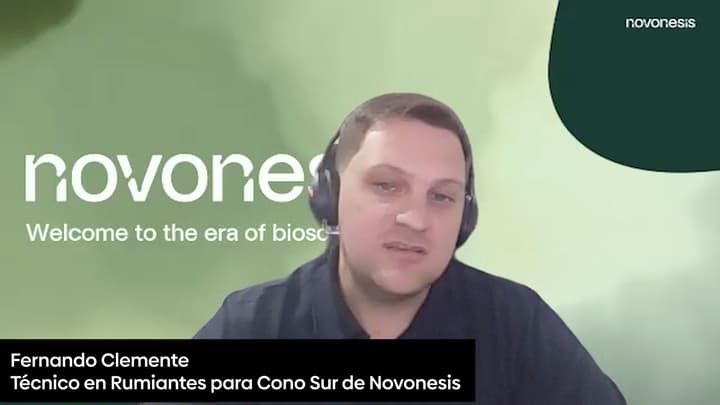 Errores comunes en la conservación de forrajes