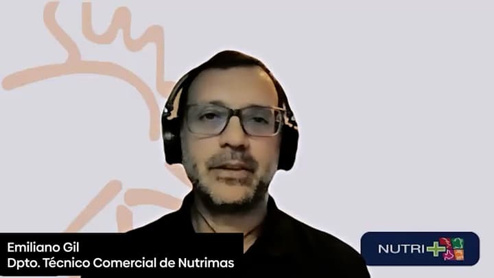 Preparación del galpón para el verano