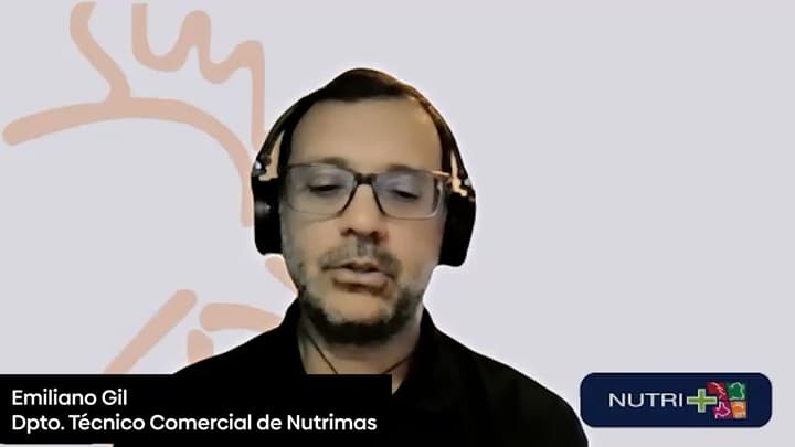 Agua en galpones avícola: Temperatura, caudal y altura de bebedero