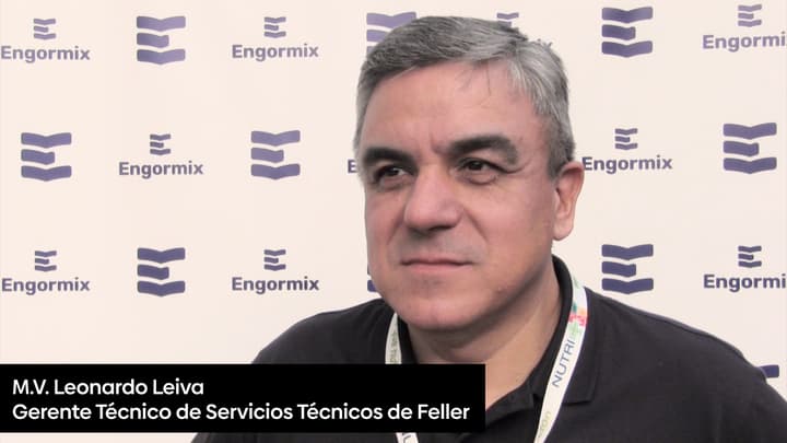 Crianza y uniformidad: maximizar el desempeño en ponedoras