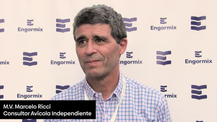 Gallinas más longevas y productivas