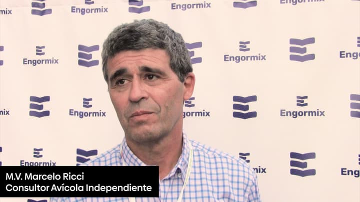 Manejo, nutrición y muda forzada: producción de huevo más prolongada y eficiente