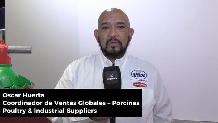 Elegir un comedero: una decisión técnica, financiera y estratégica