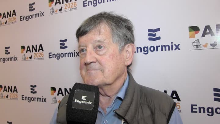Trigo entero en Broilers: Que la molleja funcione