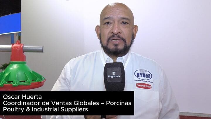 El comedero: una pieza clave en los costos y la eficiencia porcina