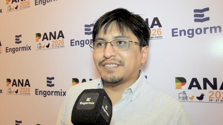 Energia neta en la nutrición aviar