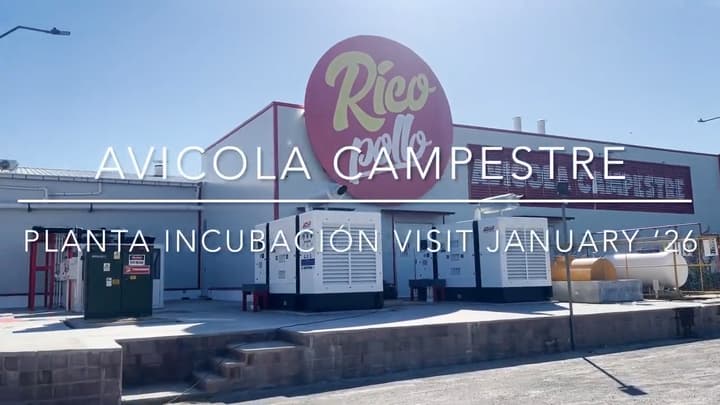 Planta de Incubación: Avícola Campestre (Reel)